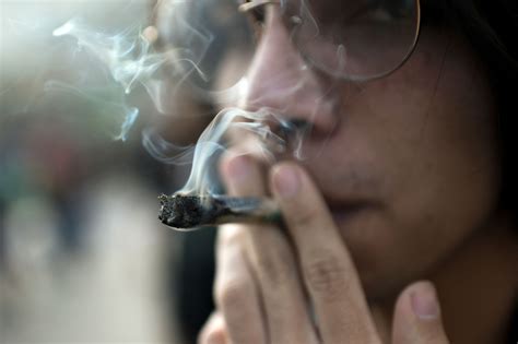 Smoking cannabis doesn't carry same risks as tobacco: UCLA study
